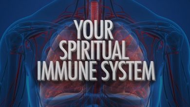 Photo of Spiritual Immune System