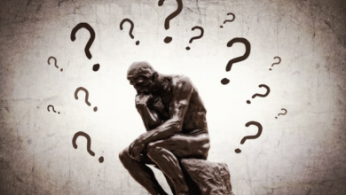 Photo of The Paradox of Life