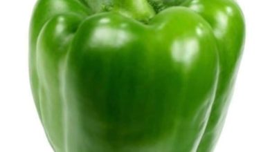 Photo of Health Benefits of Bell Pepper