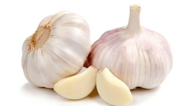 Photo of Health Benefits of Garlic