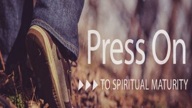 Photo of Press on to maturity