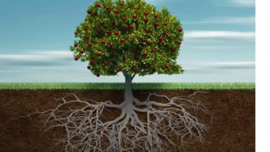 Photo of Be Deeply Rooted In Christ Jesus.