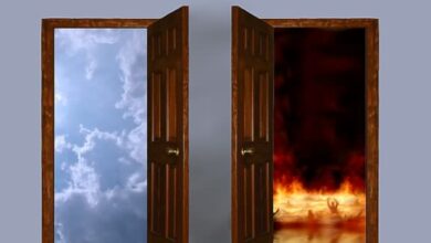 Photo of The Reality of Life