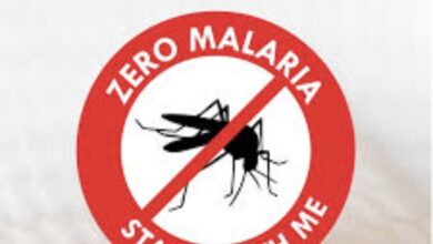 Photo of Is Zero Malaria A Possibility or Fiasco?